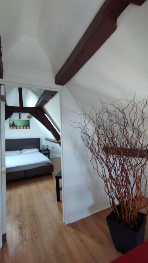 Ferienwohnung The 16Th Century Duplex In The City Center Antwerpen Exterior foto